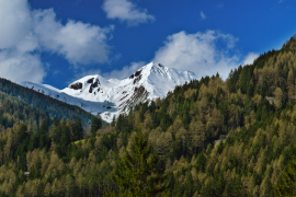 白雪皚皚的山頂 37 列表
